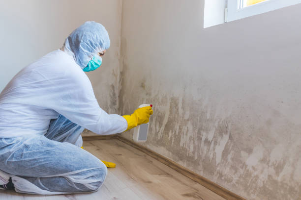 Mold Remediation specialist working in Boykins